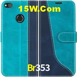 Sistemas de Segurança Br353